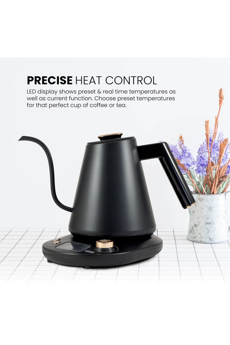 1 L Digital Gooseneck Kettle with Temperature Control, Alternate, color, Stainless Steel