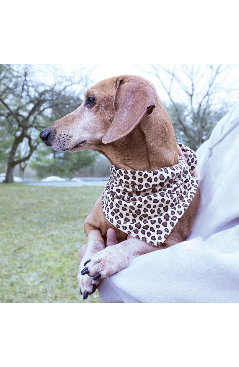 Luvable Friends Reversible Pet Dog and Cat Bandana Bibs 2pk, Alternate, color, Leopard Hearts