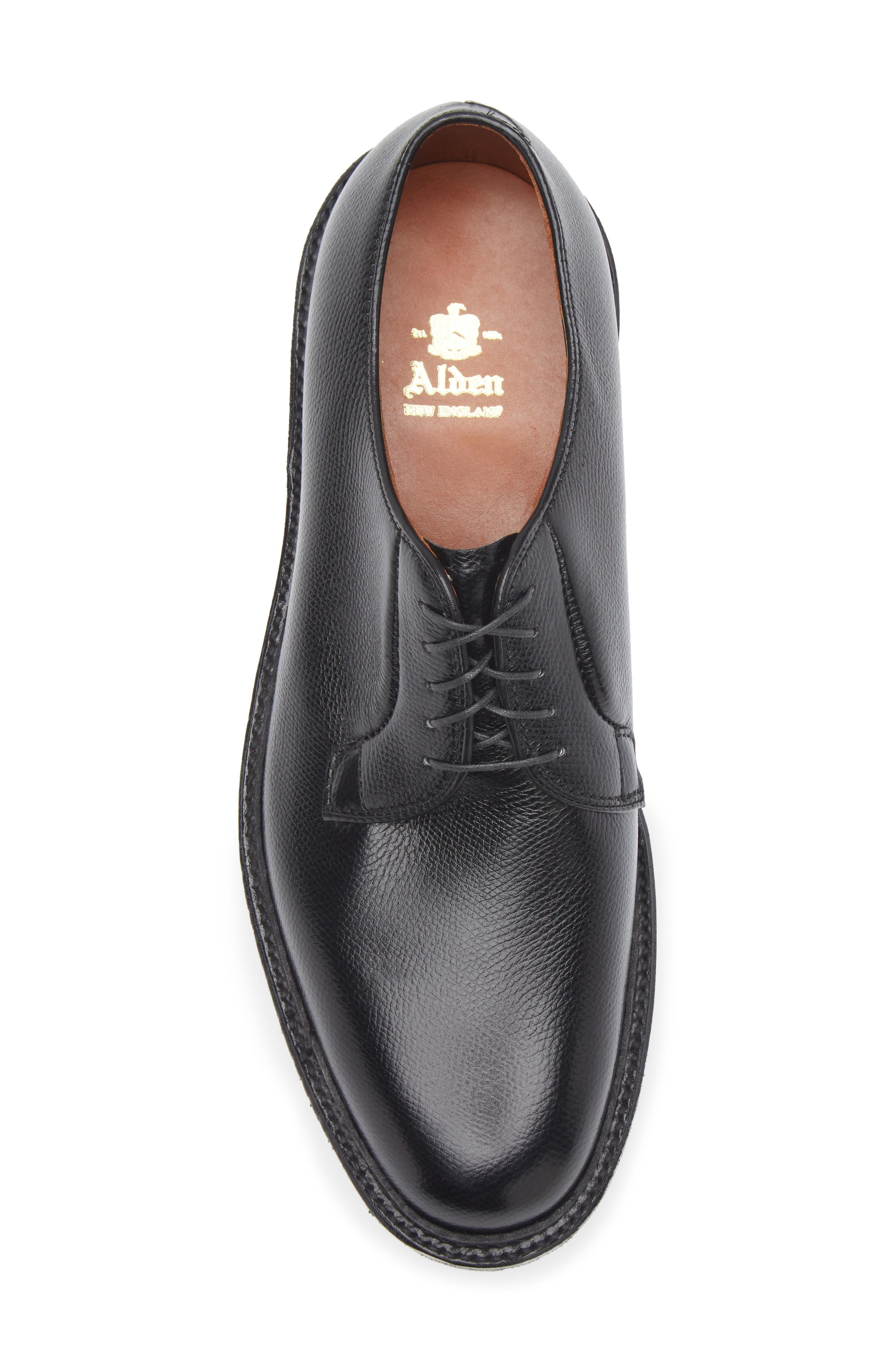 Alden All Weather Plain Toe Derby, Alternate, color, Black