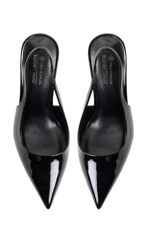 Call It Spring By Aldo Sollenne Slingback Pointed Toe Pump In Black