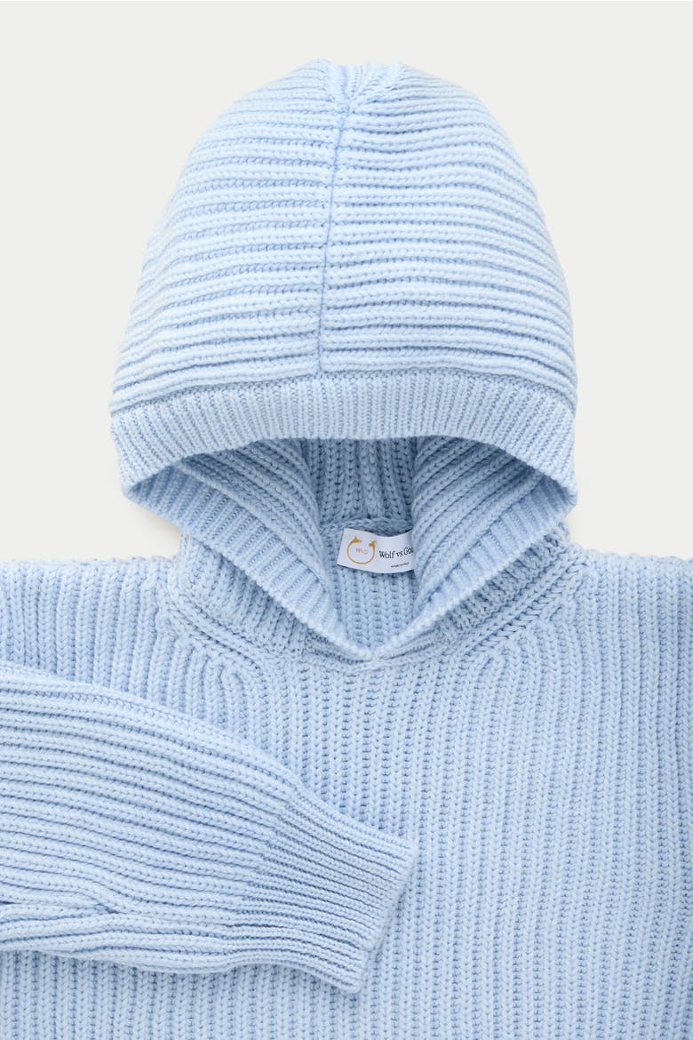Wool Chunky Pullover Hoodie, Alternate, color, Icicle