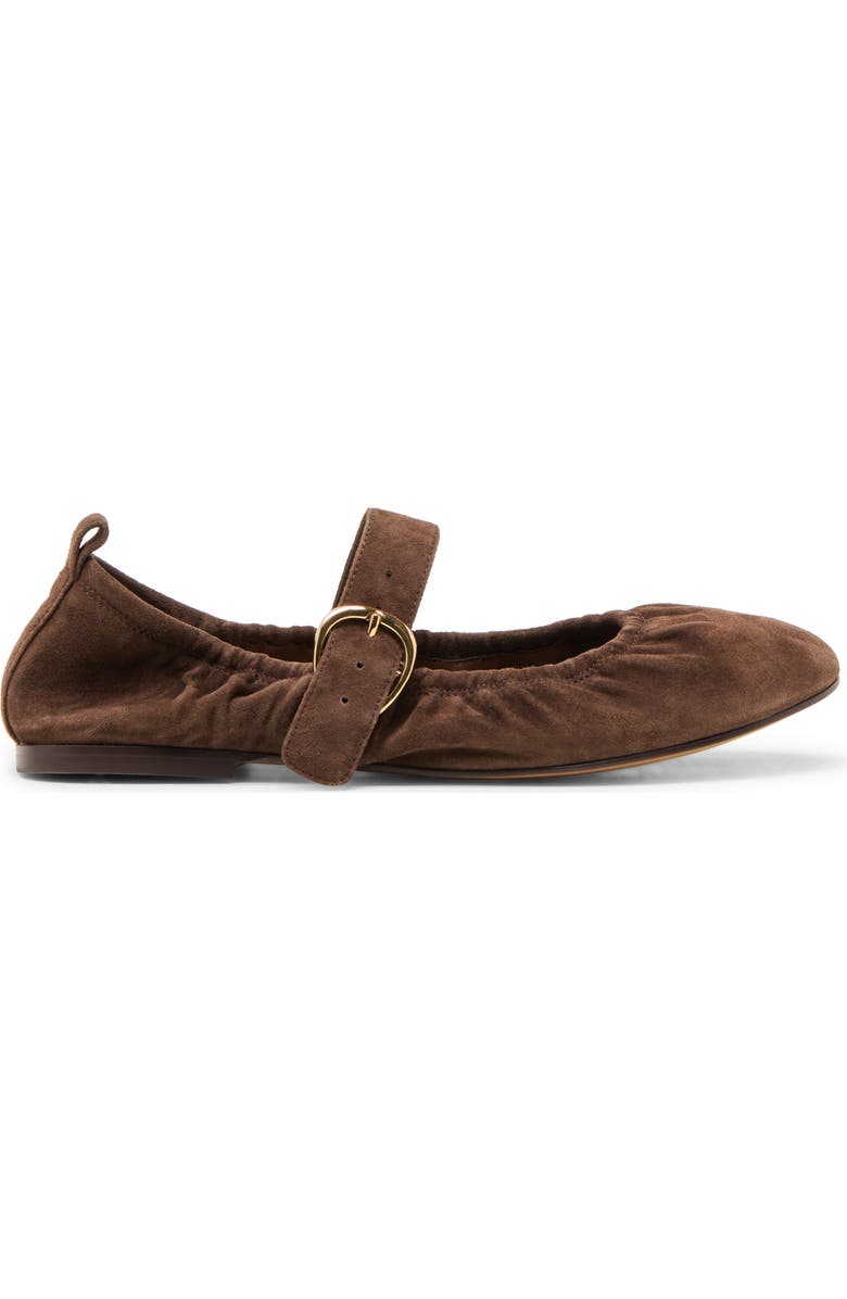 Dolce Vita Caely Mary Jane Flat, Alternate, color, Dk Brown Suede