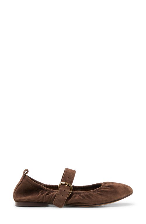 Dolce Vita Caely Mary Jane Flat In Brown