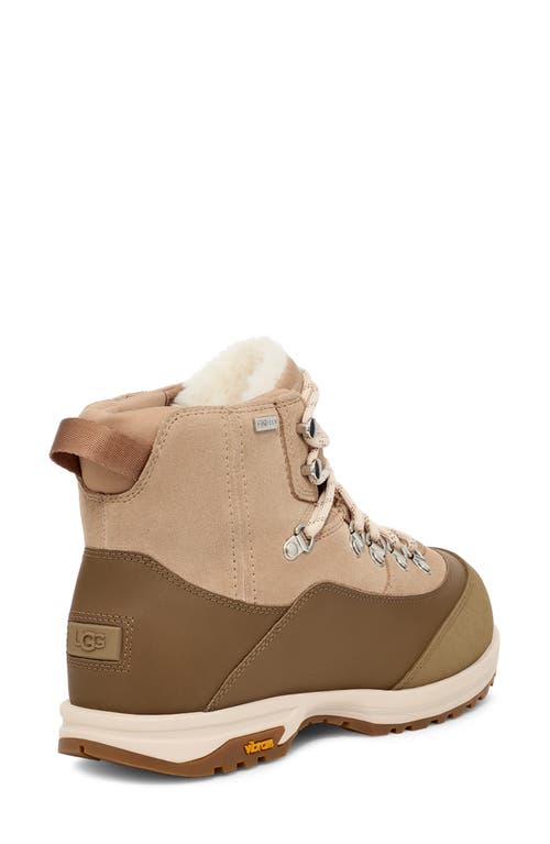Ugg ® Brecken Waterproof Lace-up Boot In Sand