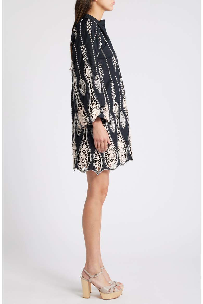 Dianna Embroidered Long Sleeve Cotton Shift Dress, Alternate, color, BLACK/CREAM