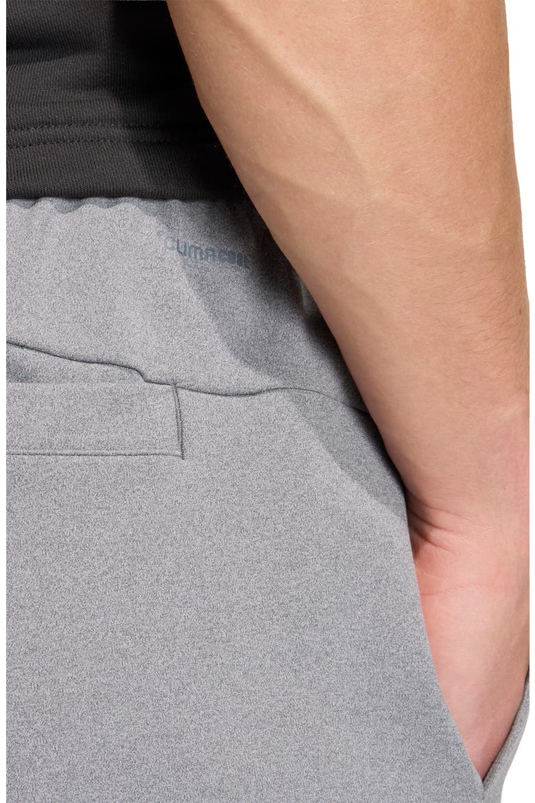 Pure Motion Activewear Pants, Alternate, color, GREY