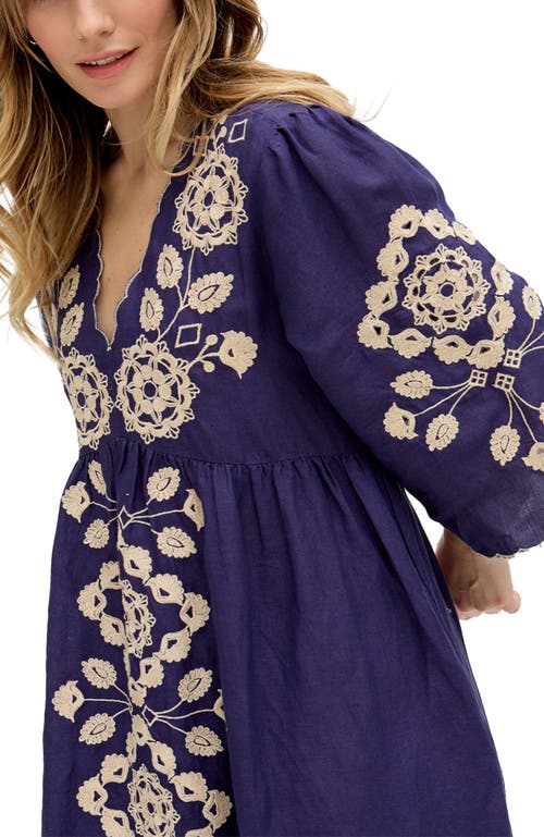 Raffya Arianna V- Neck Embroidered Maxi Dress In Blue