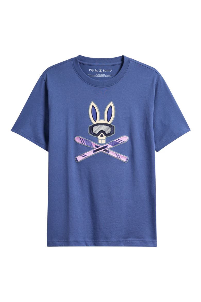 Kids' Ski Bunny Cotton Graphic T-Shirt, Main, color, GRAY BLUE