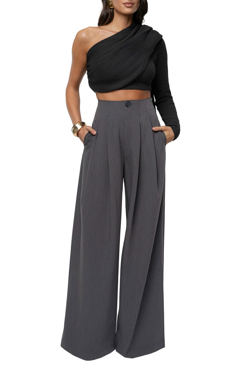 Pleated Wide Leg Pants, Alternate, color, GRAY