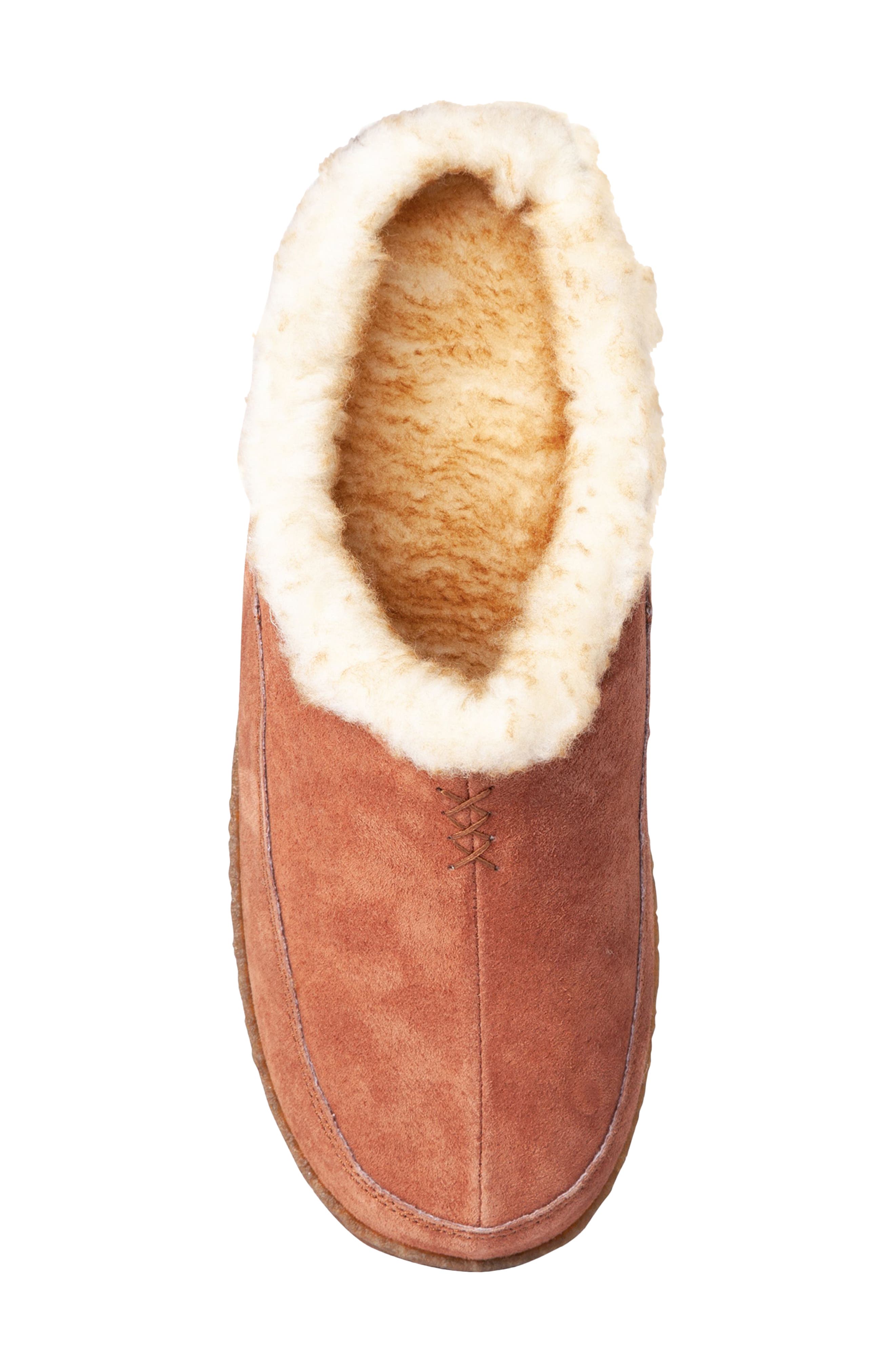 Old Friend Ragnar Slipper, Alternate, color, 