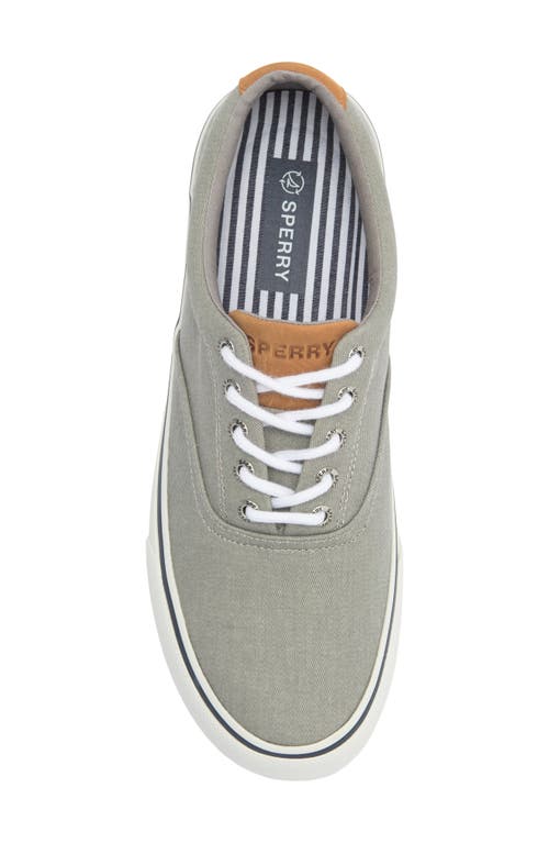 Sperry Striper Ii Cvo Sneaker In Gray