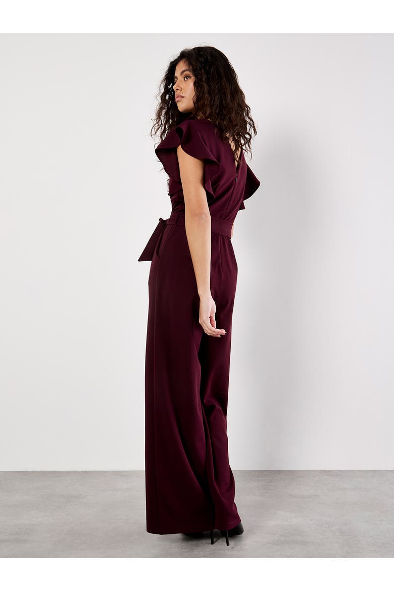 Ruffle Sleeve Pleat Detail Jumpsuit, Alternate, color, Burgundy