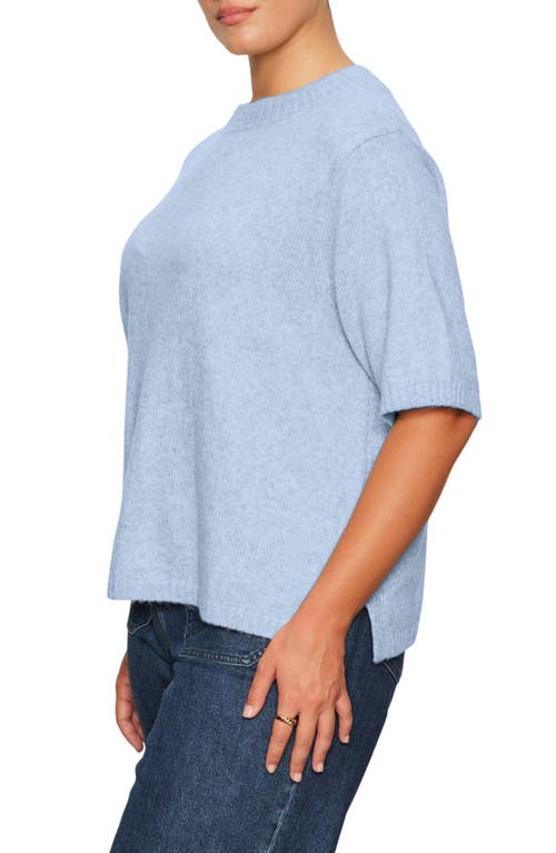 Sanctuary Short Sleeve Sweater In Blue