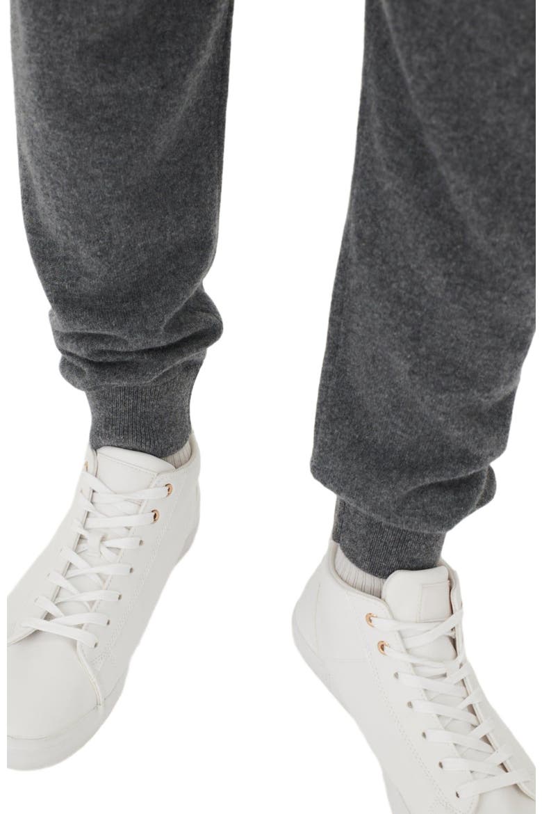 Men's Cashmere Jogger, Alternate, color, plum kitten
