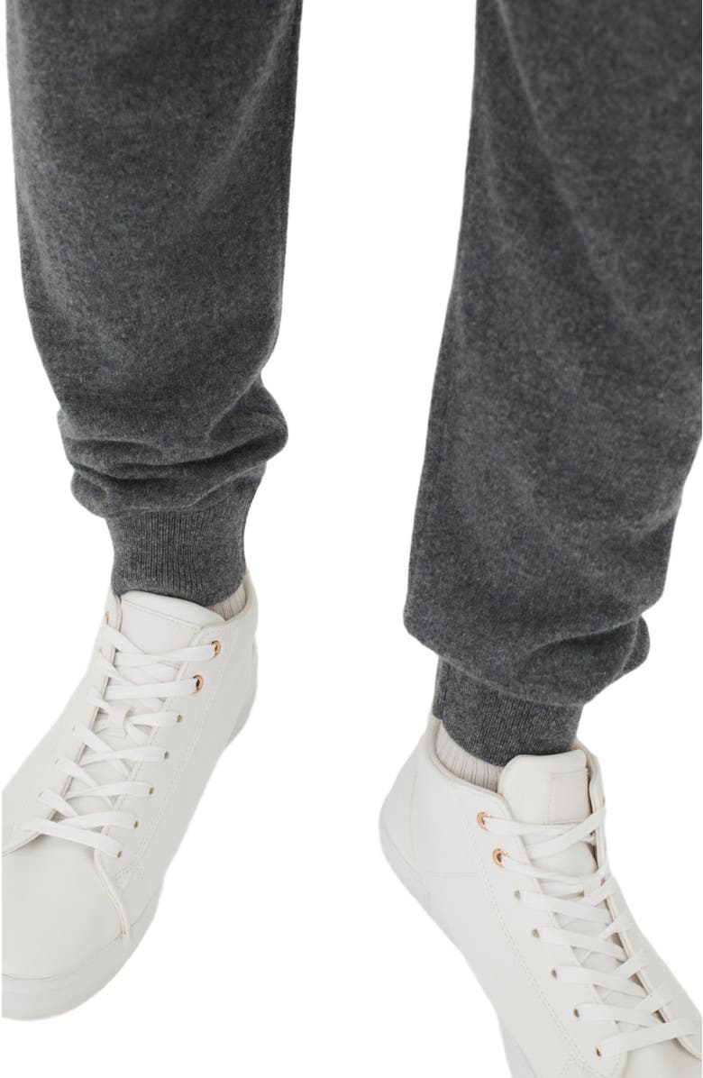 GOBI Mongolian Cashmere Men's Cashmere Jogger, Alternate, color, Plum Kitten