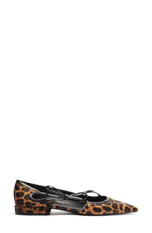 Arezzo Tessa Pointed Toe Flat In Brown
