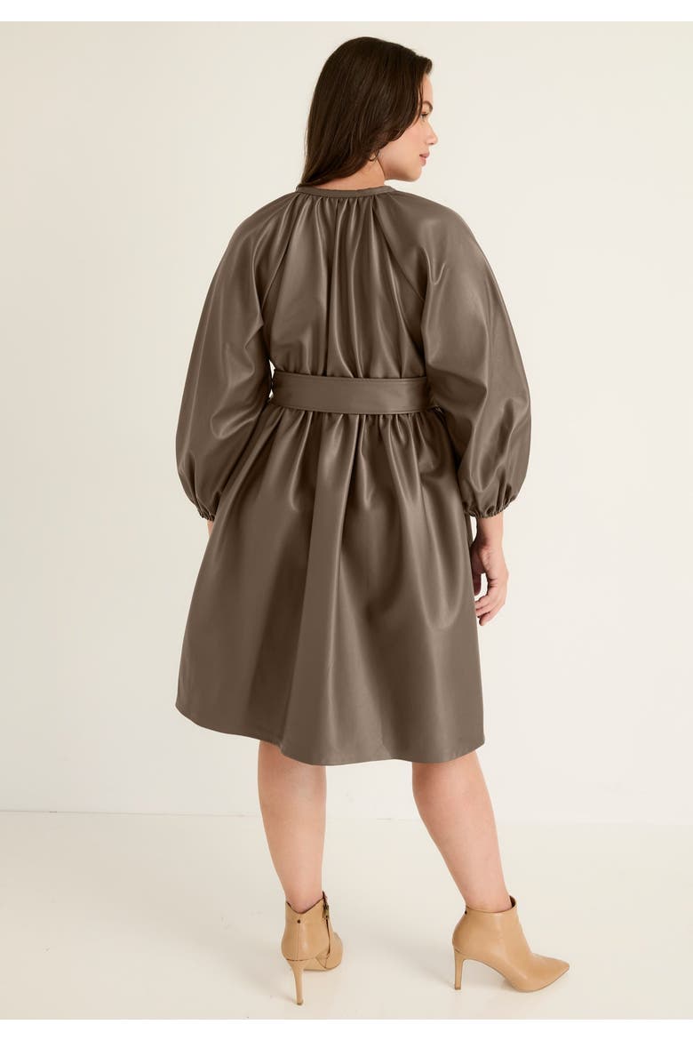 Faux Leather Dress, Alternate, color, COCOA
