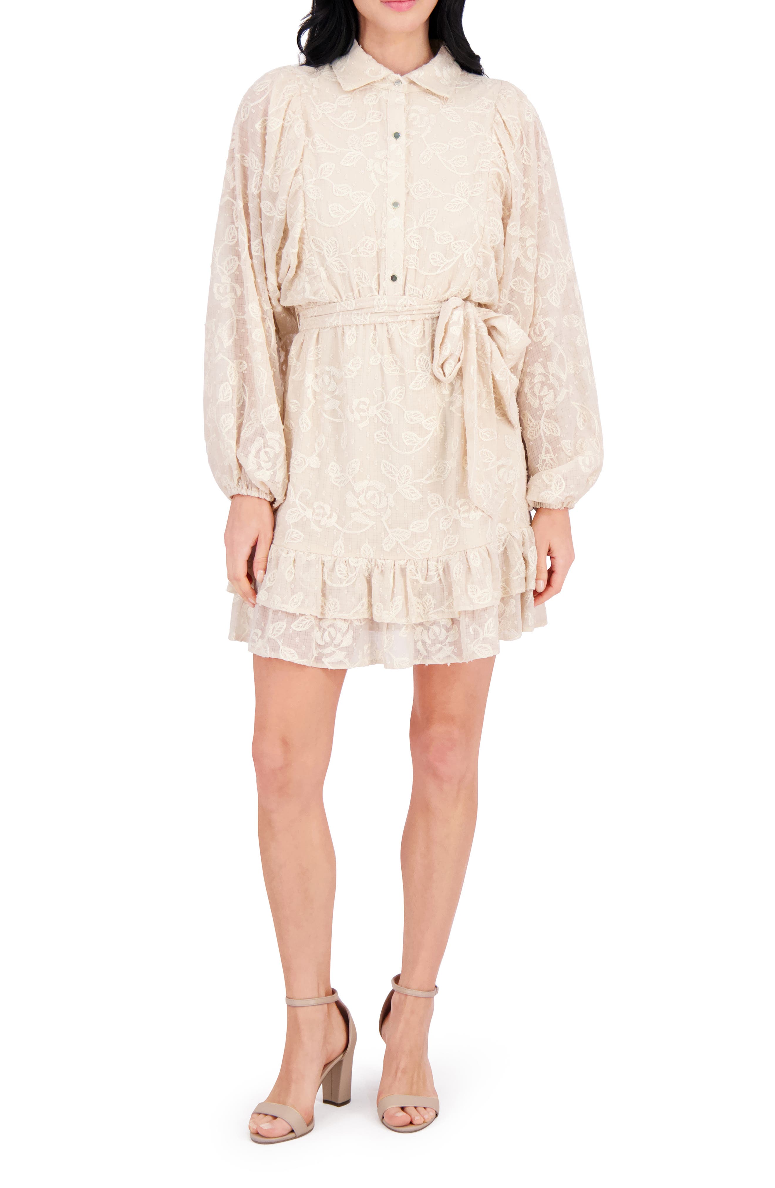 Embroidered Woven Minidress