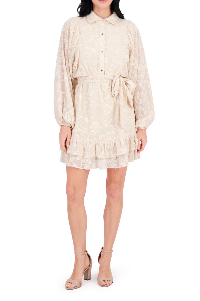 Embroidered Woven Minidress, Main, color, SAND