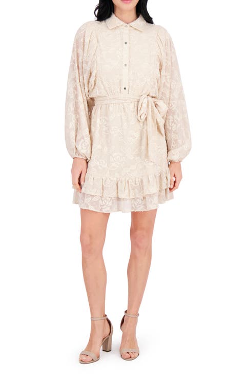 Embroidered Woven Minidress