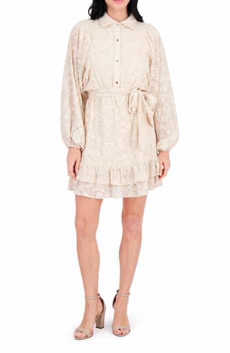 Embroidered Woven Minidress