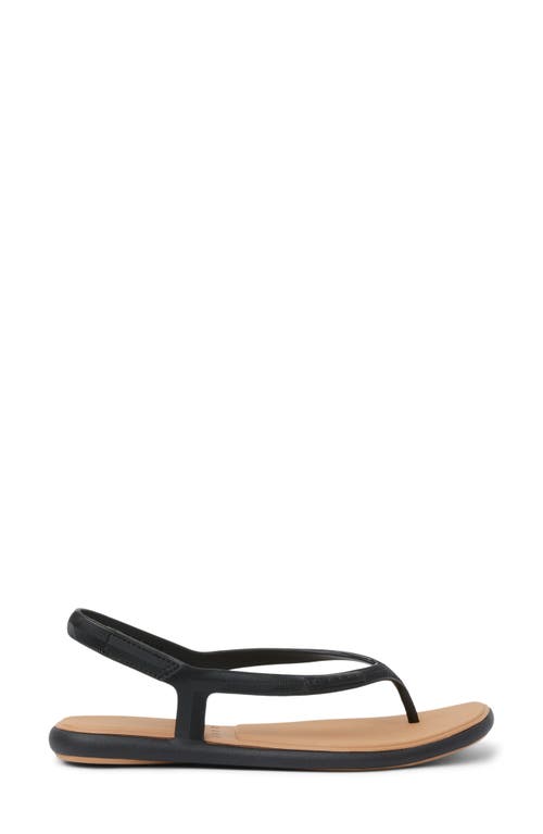 Reef Water Willow Maya Slingback Sandal