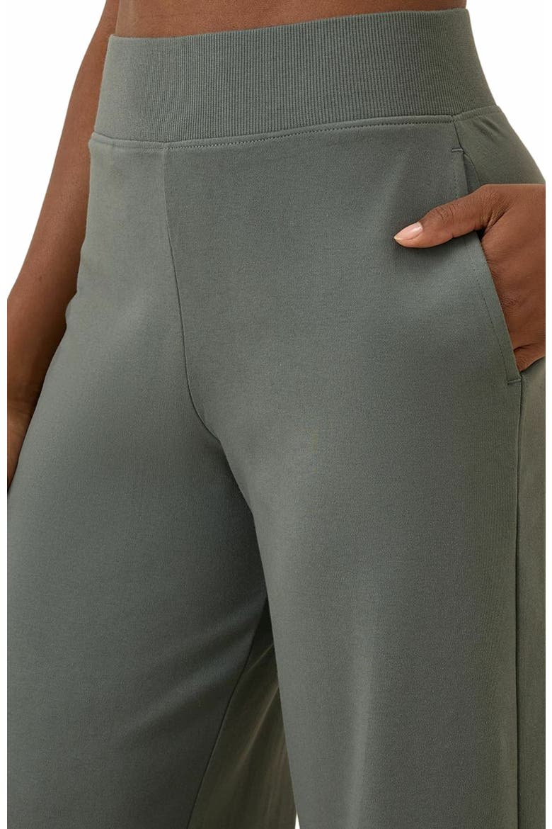 Organic Cotton Airplane Wide Leg Pant - 29" Inseam, Alternate, color, Castor Grey