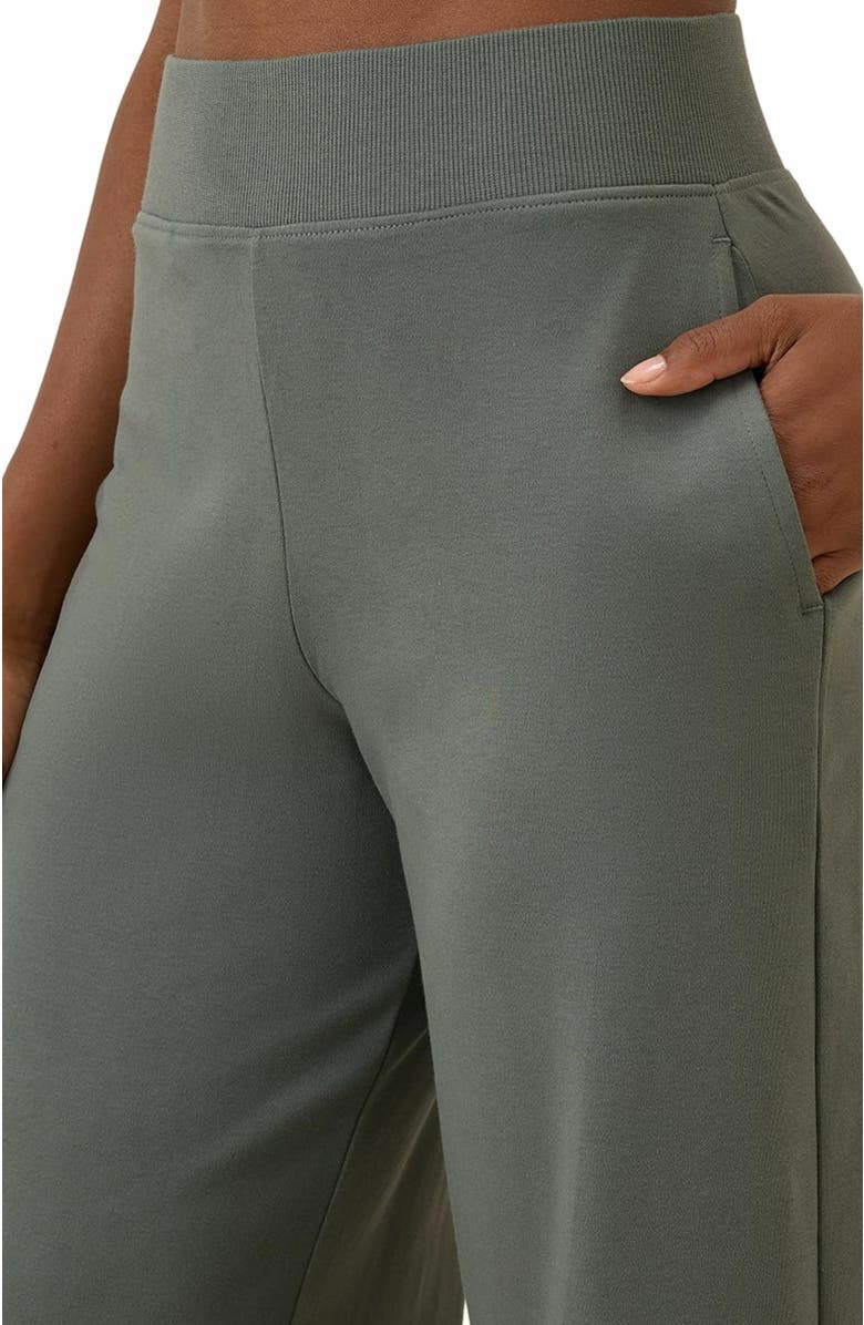 Pact Organic Cotton Airplane Wide Leg Pant - 26" Inseam, Alternate, color, Castor Grey