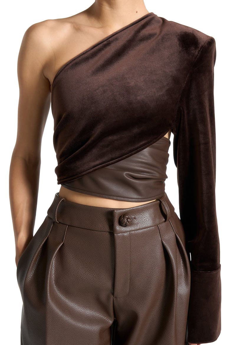 Coralie One Sleeve Velour Wrap Top, Alternate, color, Brown