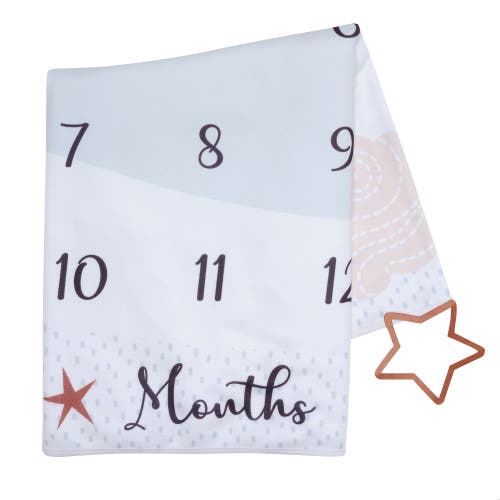 Lambs & Ivy Goodnight Moon Milestone Photo Opportunity Soft Fleece Baby Blanket In Gray