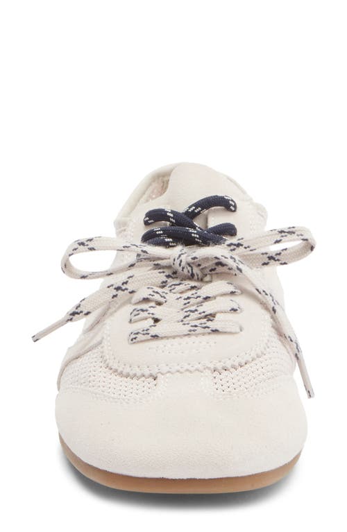 Steve Madden Denverr Sneaker In Neutral