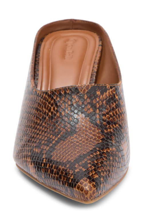 Open Edit Vivica Pointed Toe Mule In Brown Snake
