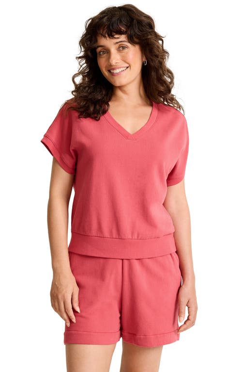 Tommy Bahama Marina Del Mar Short Sleeve Sweatshirt In Purple