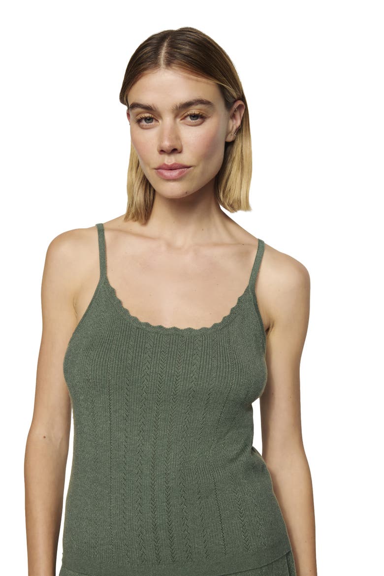Pointelle Knit Scoop Neck Camisole, Alternate, color, DESERT SAGE
