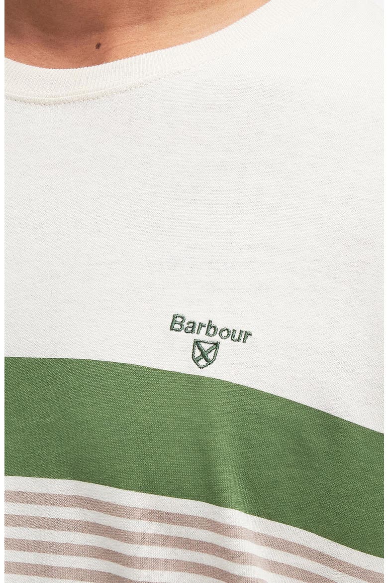 Braeside Stripe T-Shirt, Alternate, color, RAINY DAY
