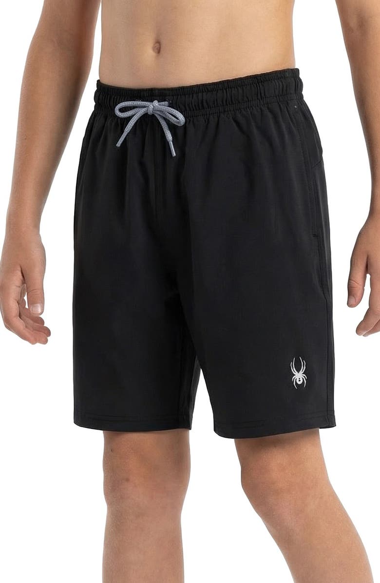 Spyder Kids' Volley Swim Shorts, Alternate, color, Caviar