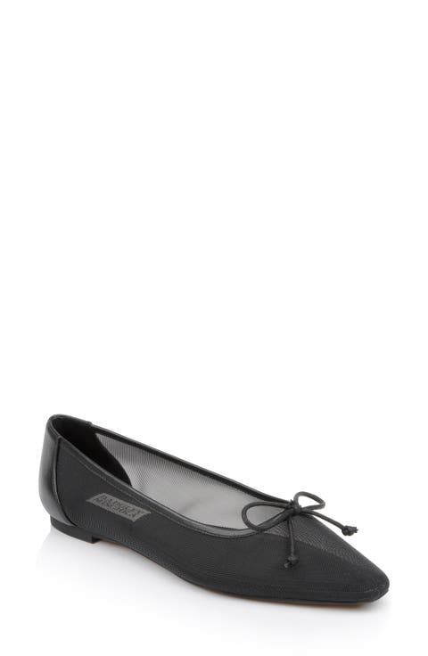 Cam Pointed Toe Ballet Flat (Women)