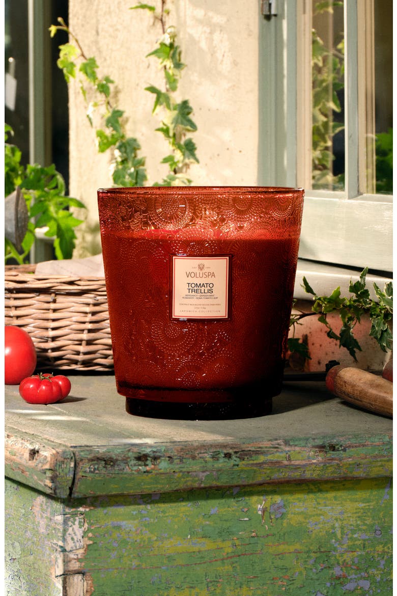 Tomato Trellis Five-Wick Hearth Candle, Alternate, color, TOMATO TRELLIS