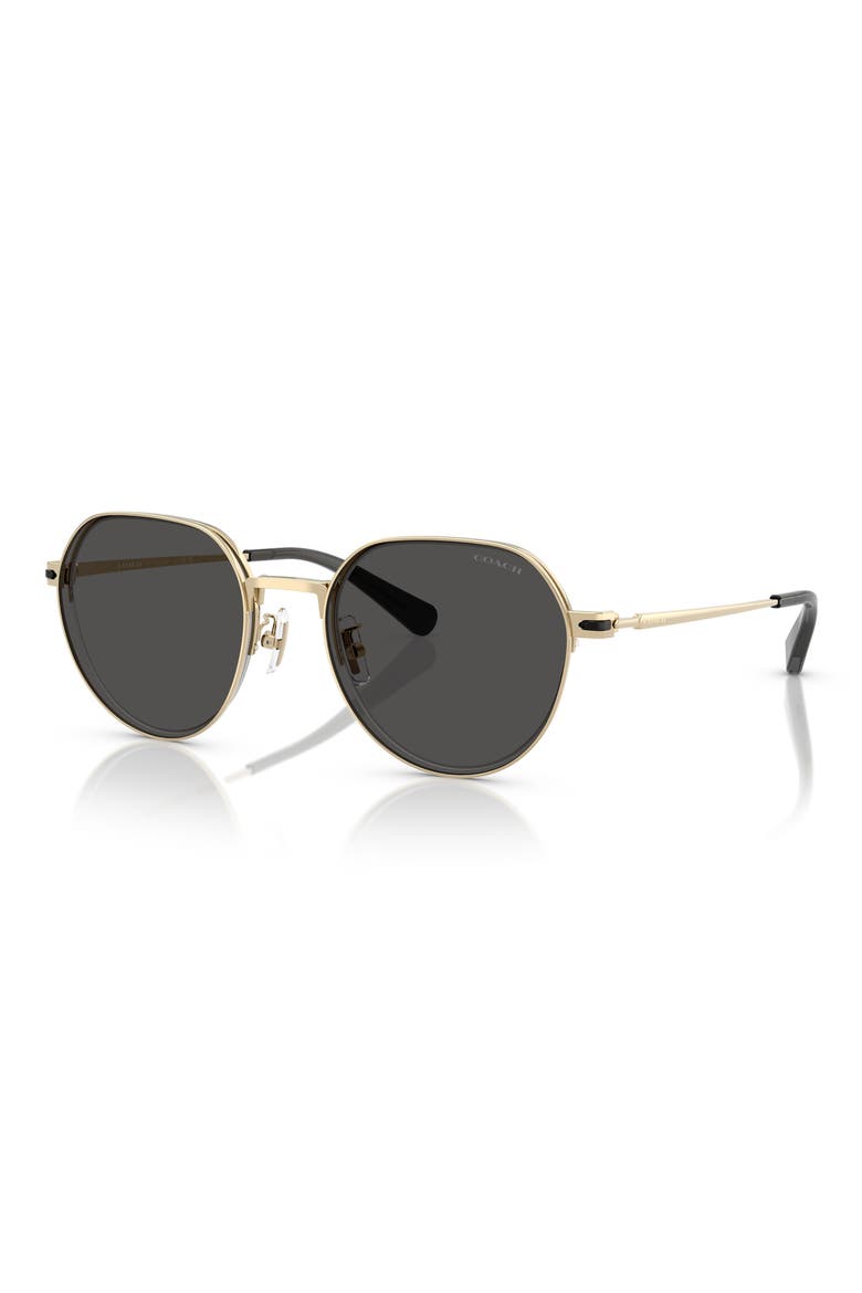 52mm Irregular Round Sunglasses, Alternate, color, SHINY LIGHT GOLD / GREY SOLID