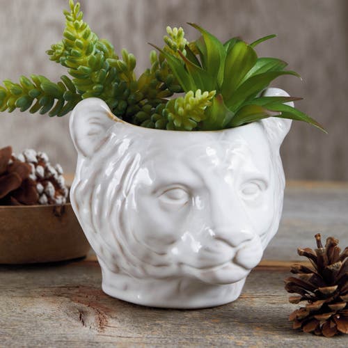 Tag Mountain Lion Ceramic Planter White Garden Pot Indoor Outdoor In White