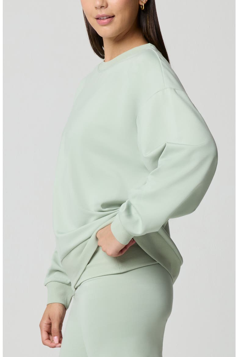 Oversize Sport Sheen Crewneck Sweatshirt, Alternate, color, DESERT SAGE