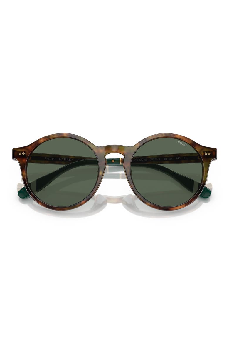 PH4204U 53mm Round Sunglasses, Alternate, color, SHINY DARK HAVANA / BROWN