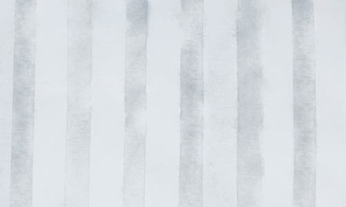 Sferra Kricia Cotton Percale Sham In Lunar