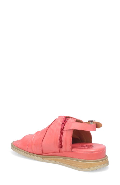 Miz Mooz Conor Slingback Sandal In Azalea