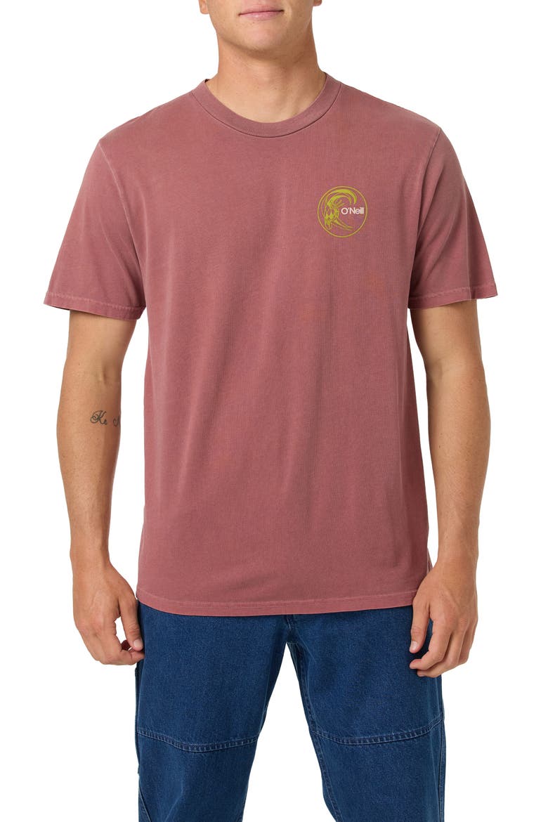 Seaworthy Cotton Graphic T-Shirt, Main, color, APPLE BUTTER