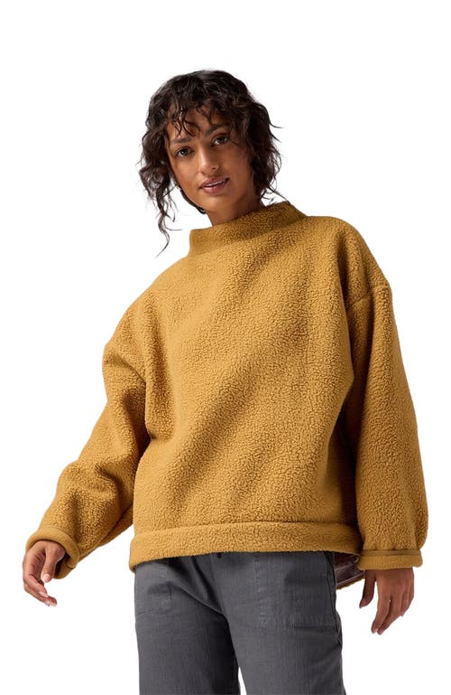 Backcountry Wander Pile-fleece Mock-neck Top In Brown