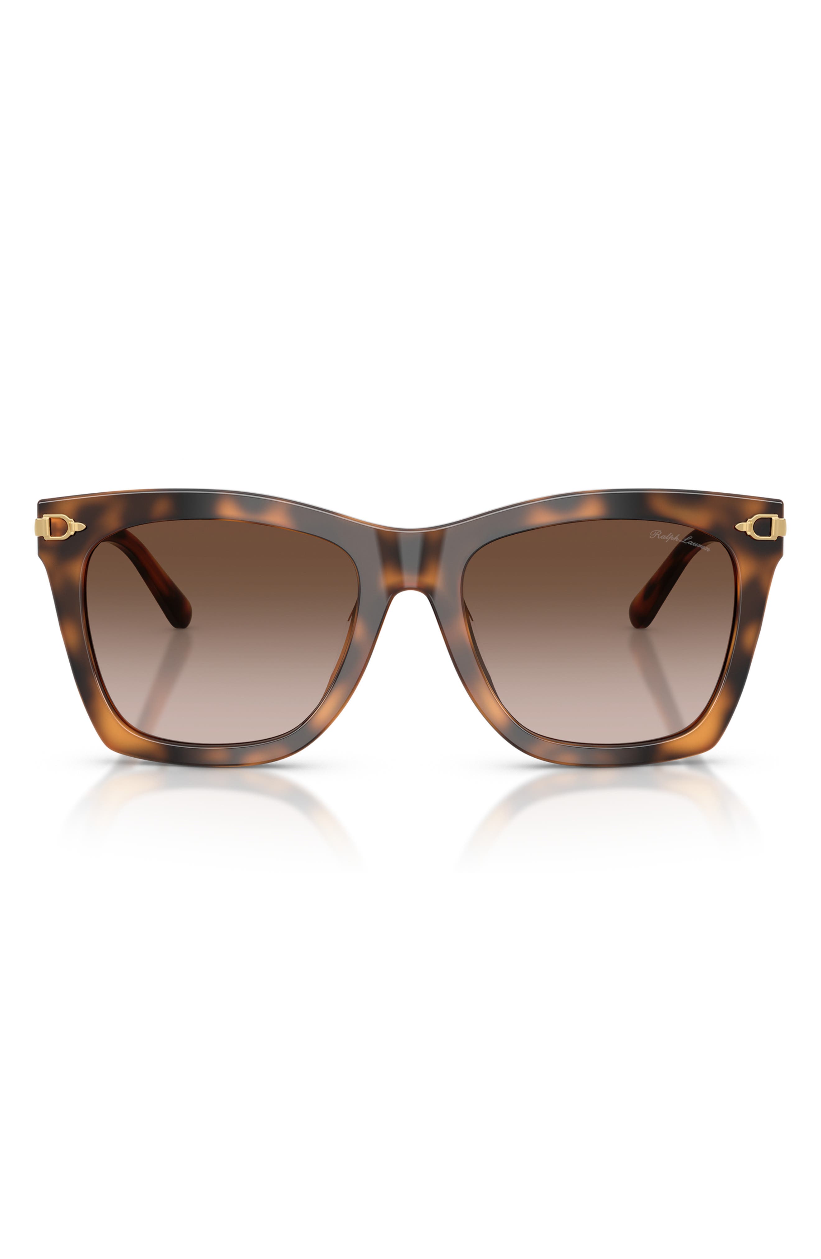 HAVANA / GRADIENT BROWN