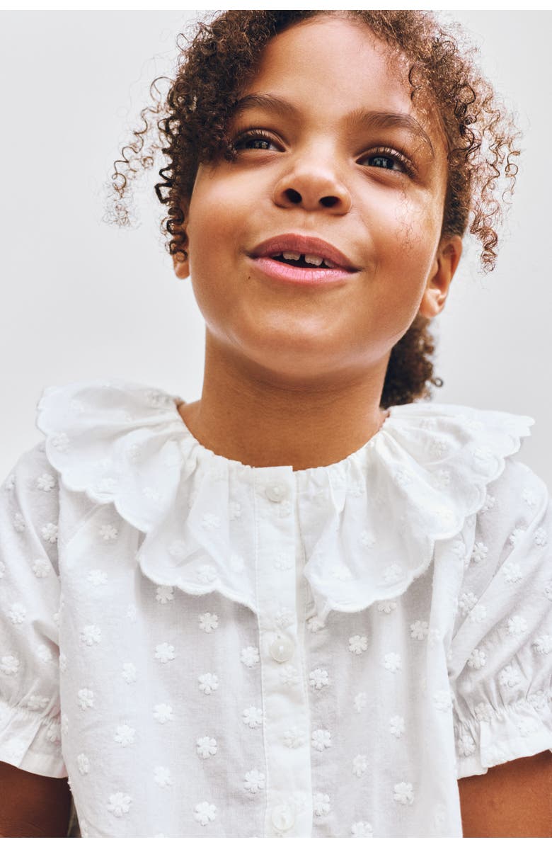 H&M Flounce-collar Embroidered Blouse, Alternate, color, Cream