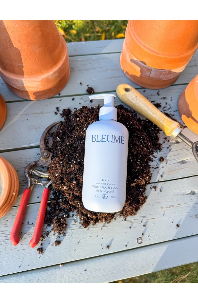 Bleume The Starter Kit, Alternate, color, NO COLOR