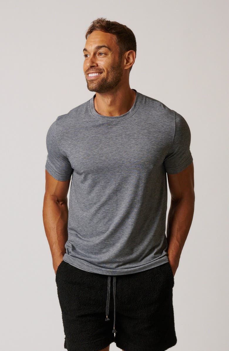 LEISURE LAB Everyday T-Shirt, Main, color, Stone